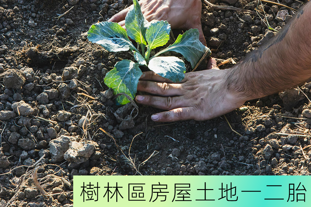 樹林區房屋土地一二胎